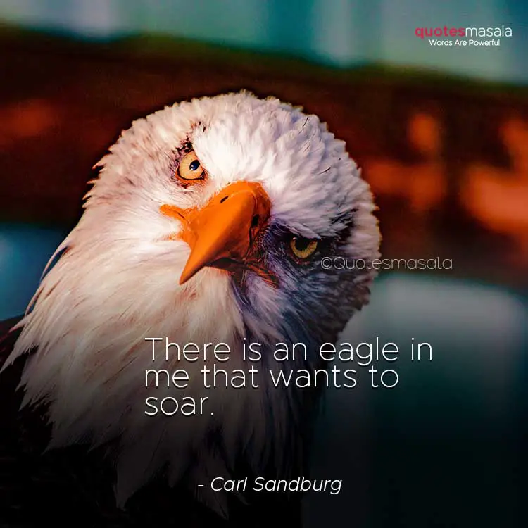 Motivational eagle quotes with images