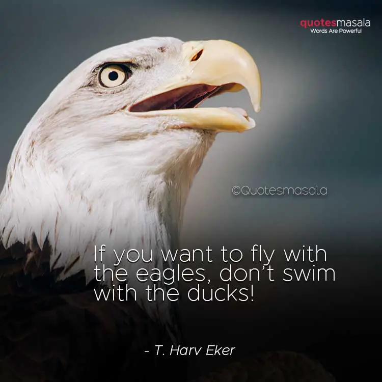 Motivational eagle quotes with images