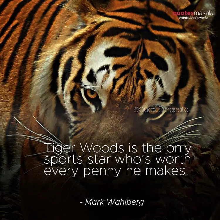 Tiger quotes images for motivation