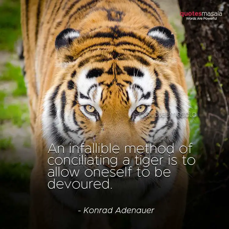 Tiger quotes images for motivation