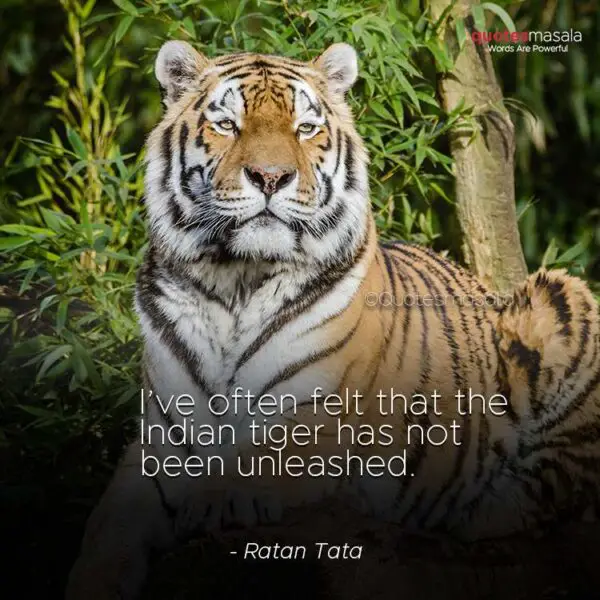 Best 150+ Tiger Quotes On Attitude, Courage | Quotes For Inspiration