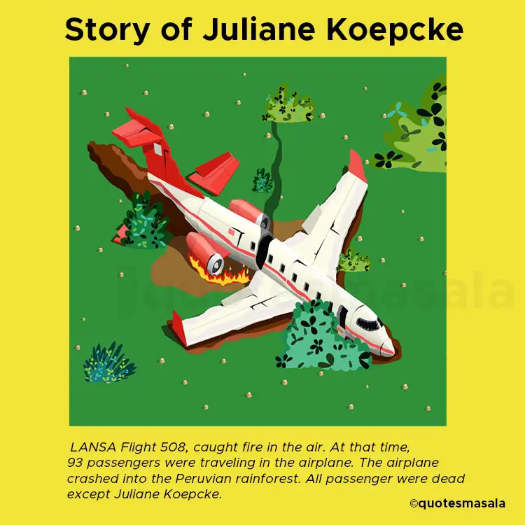 Illustration of plane crashed into rainforest | Story of Juliane Koepcke