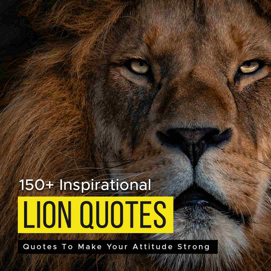 150 Inspirational Lion Quotes To Make Your Attitude Strong