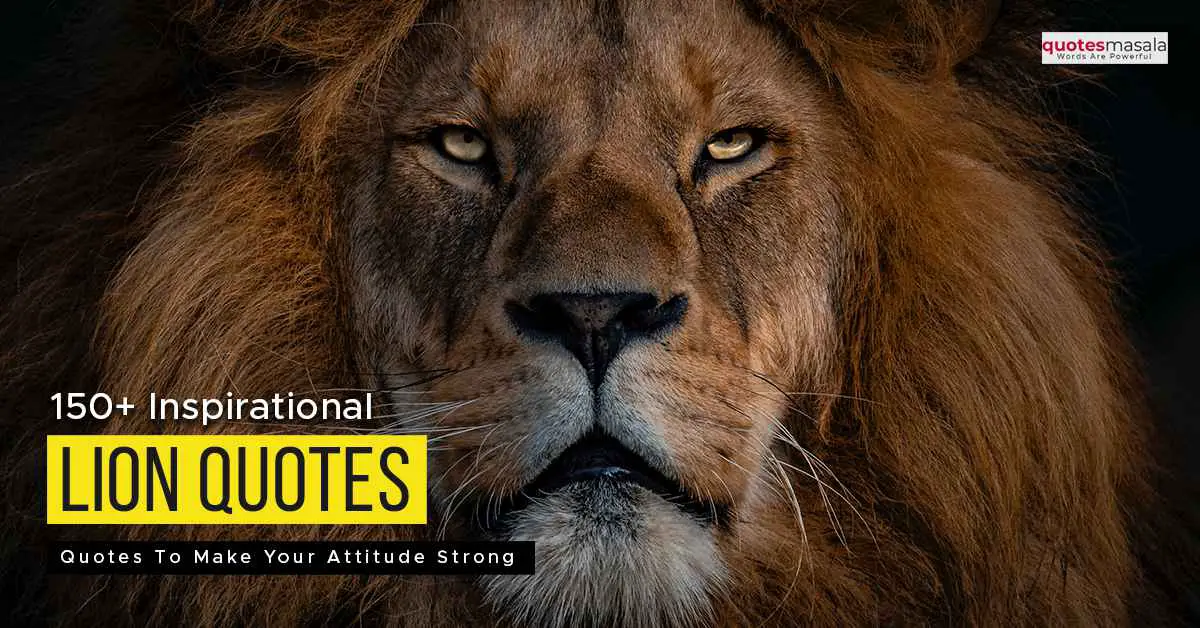 150 Inspirational Lion Quotes To Make Your Attitude Strong