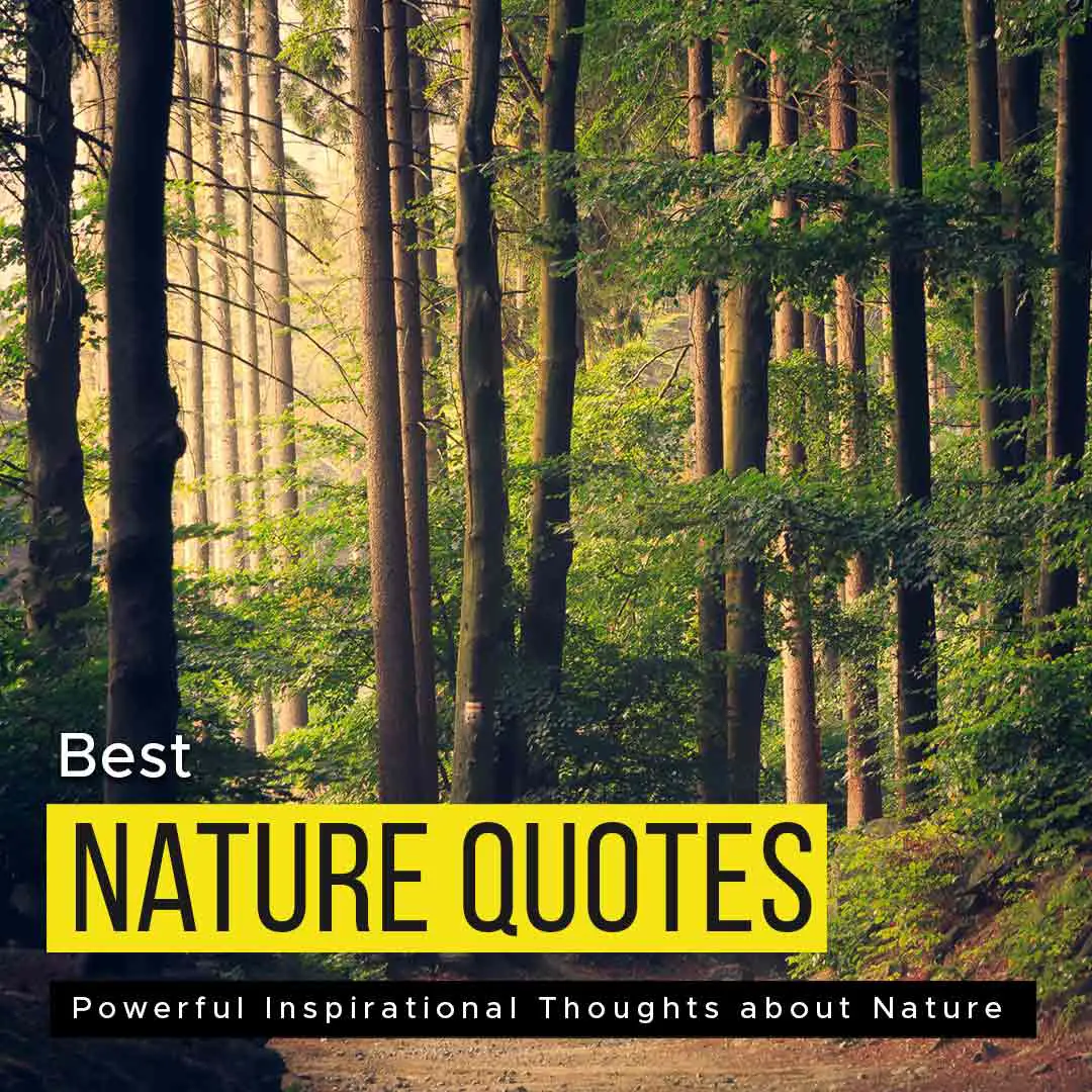 Nature quotes
