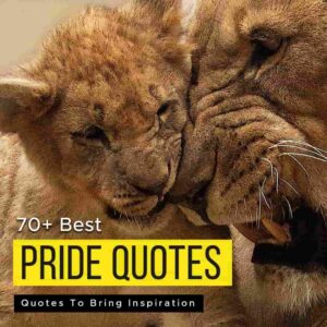 pride and prejudice quotes