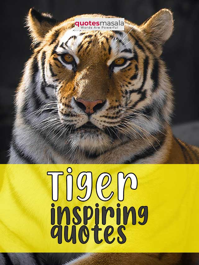 tiger-quotes-cover