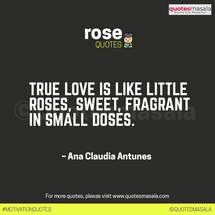 Rose Quotes For Instagram