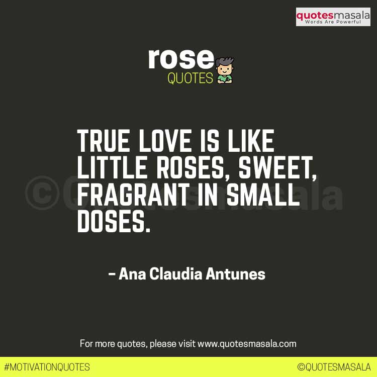 Rose Quotes For Instagram