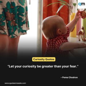Curiosity Quotes images
