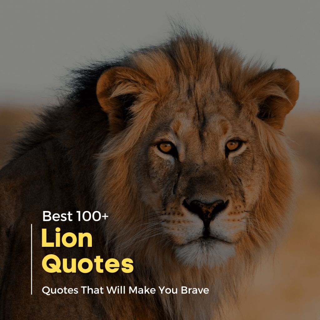 100+ Great Lion Quotes That Will Make You Brave | Quotesmasala