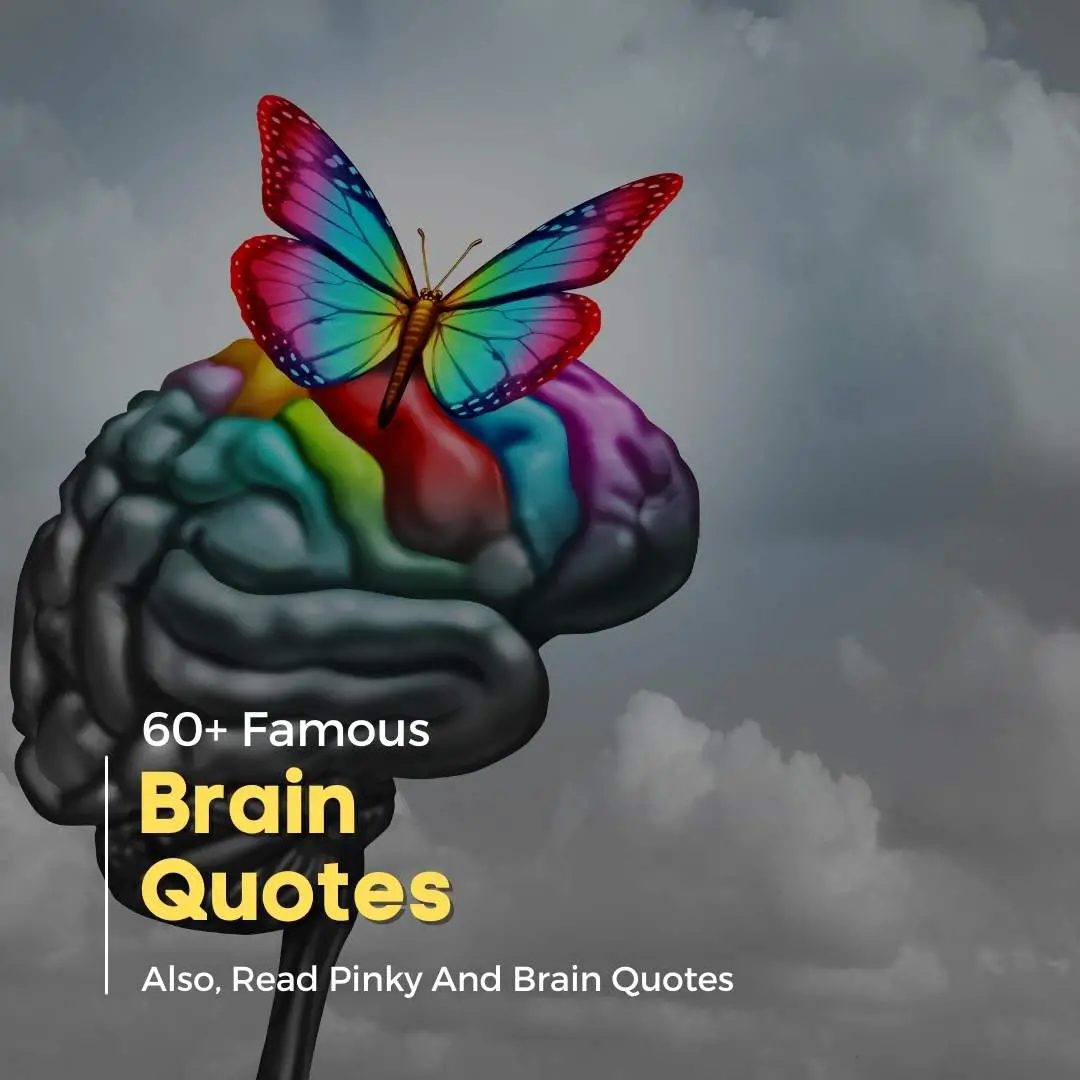 Brain Quotes Thumbnail