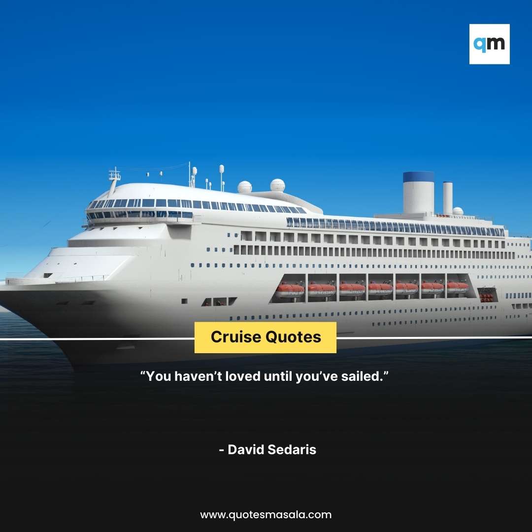 cruise meaning sentences