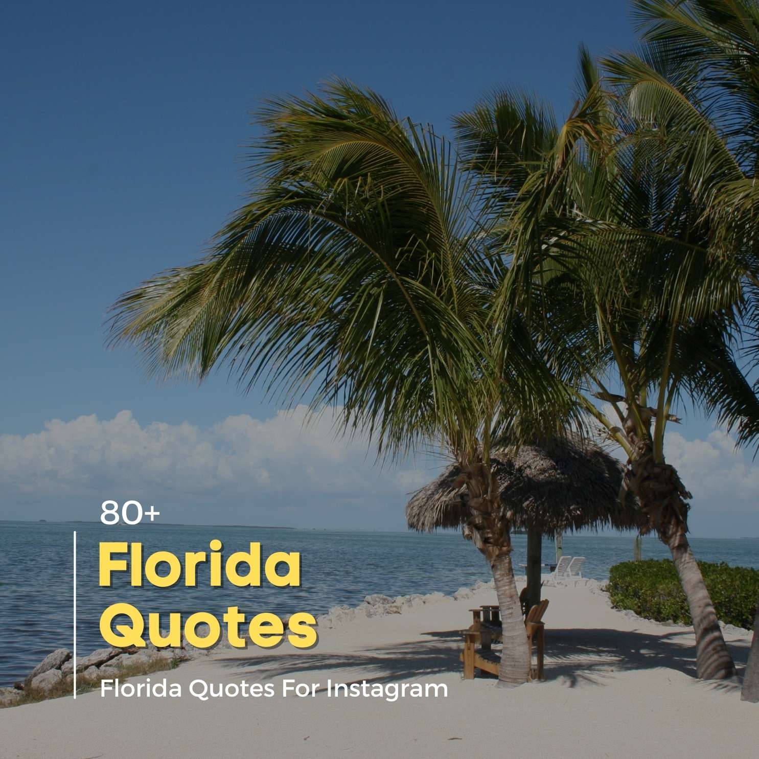 Florida Quotes And Sayings