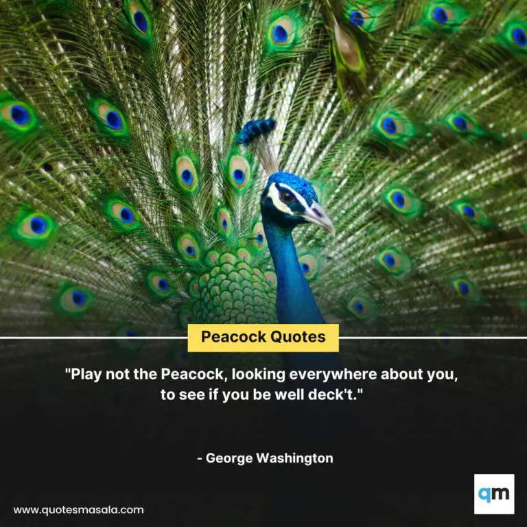 60 Peacock Quotes Brilliant Positive Peacock Quotes Quotesmasala