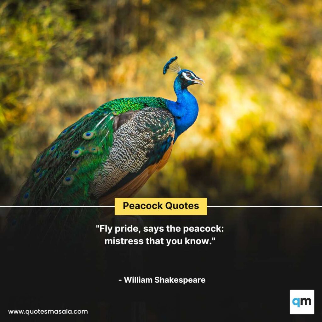 Peacock Quotes Images