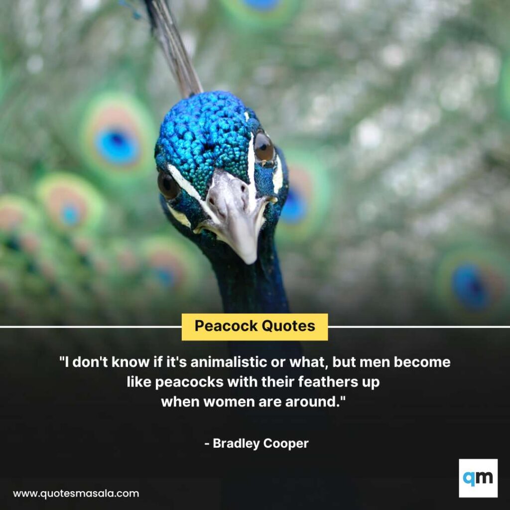 60 Peacock Quotes Brilliant Positive Peacock Quotes Quotesmasala