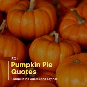 Pumpkin Pie Quotes And Instagram Captions