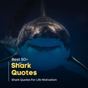 Shark Quotes And Sayings