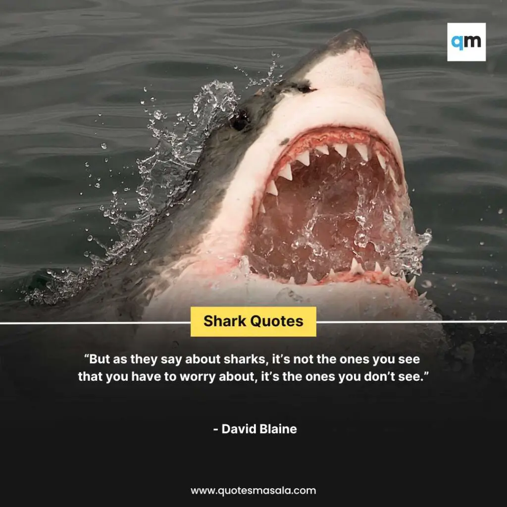 Shark Quotes And Sayings Images