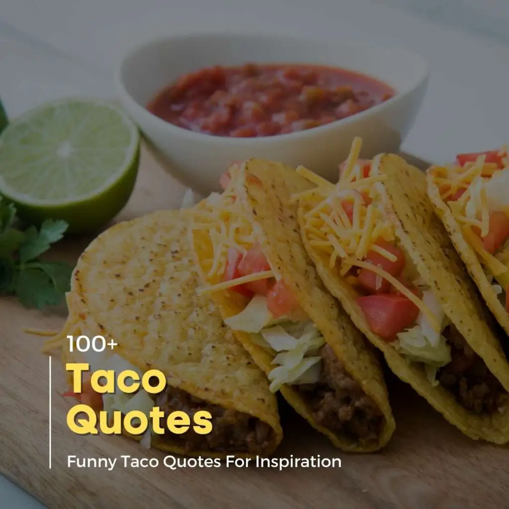 Taco Quotes With Images