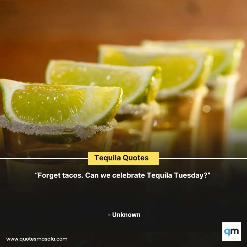 Tequila Quotes Sayings Captions Images