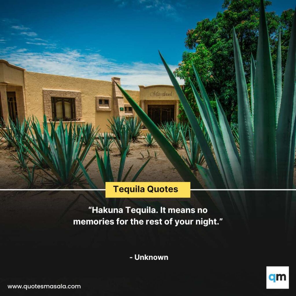 Tequila Quotes Sayings Captions Images