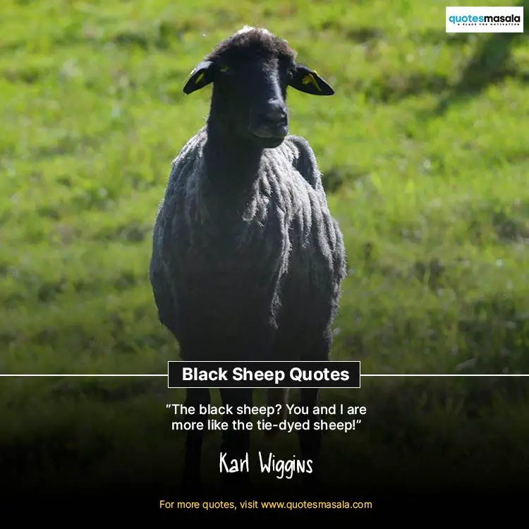 Black Sheep Quotes