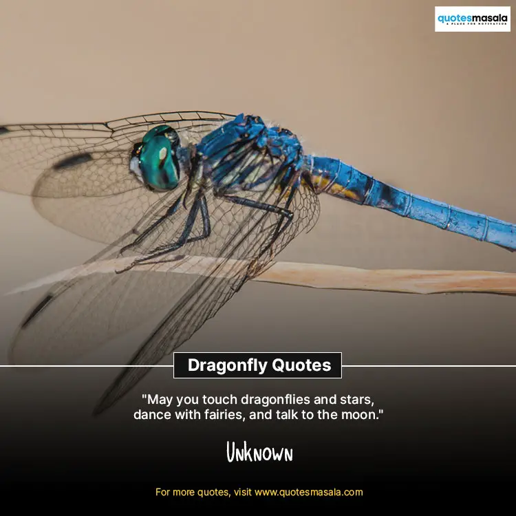 Dragonfly Quotes Images