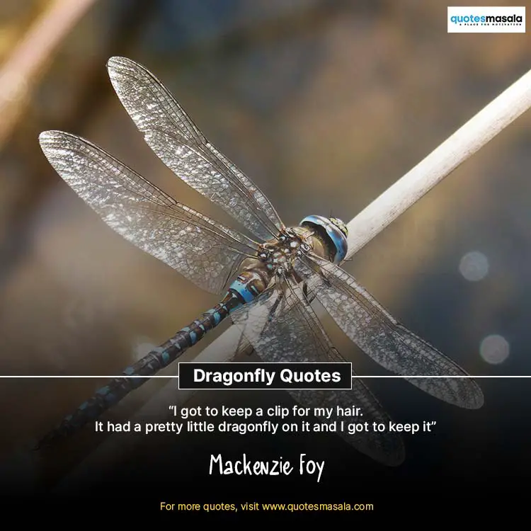 Dragonfly Quotes Images